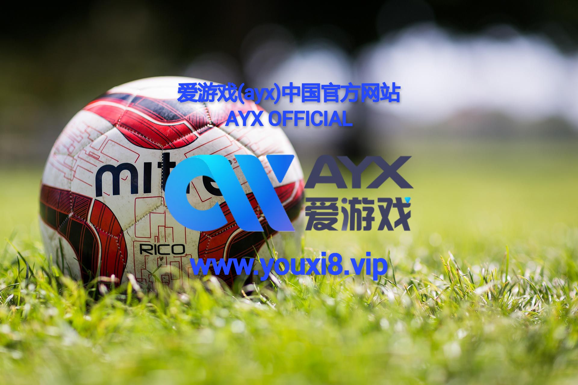 ⚽爱游戏(ayx)中国官方网站-AYX OFFICIAL