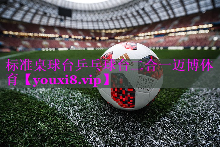 标准桌球台乒乓球台二合一迈博体育