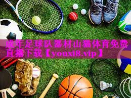 成年足球队器材山猫体育免费直播下载