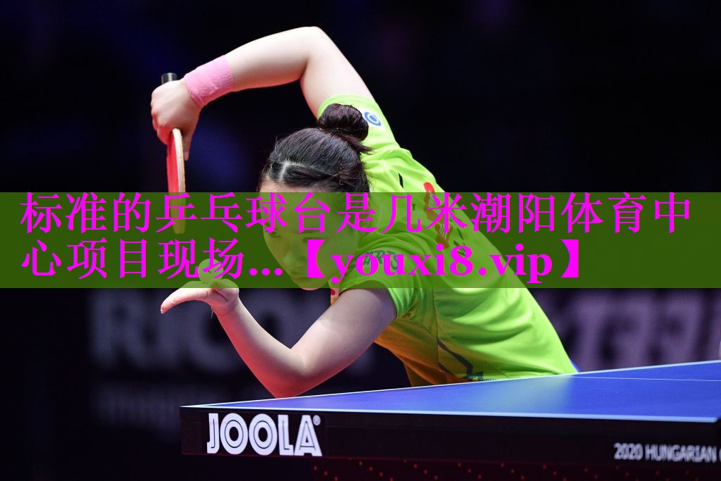 标准的乒乓球台是几米潮阳体育中心项目现场…
