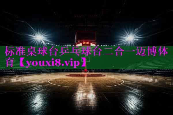 标准桌球台乒乓球台二合一迈博体育