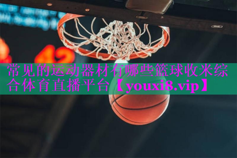 常见的运动器材有哪些篮球收米综合体育直播平台