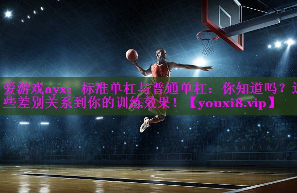 标准单杠与普通单杠：你知道吗？这些差别关系到你的训练效果！